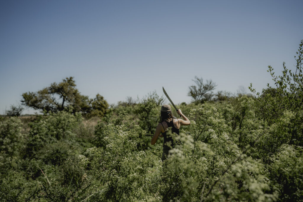 Home desmalezar exóticas