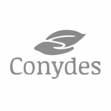 Inicio conydes